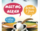 Meeting aérien - Saint-Yan