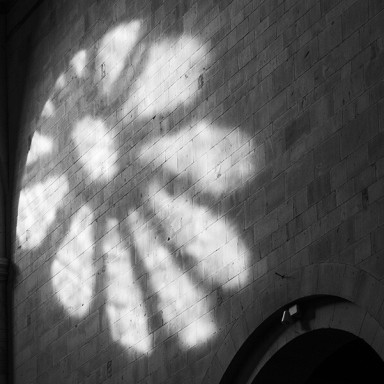 Crédits photo : © Ferrante Ferranti