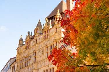 Crédits photo : Léa Brivet