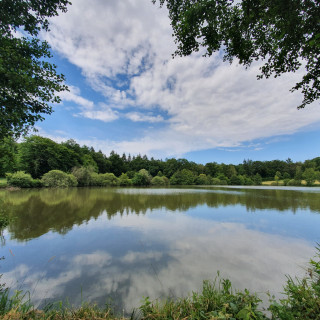 Les Etangs des Moines
