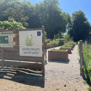 Rendez-vous aux jardins - Les végétaux à la loupe