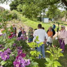 Laissez-vous guider par Tristan lors d’une visite exceptionnelle du jardin de roses aux mille couleurs et parfums
Plus de 75 variétés de roses à admirer : anciennes, modernes, lianes, grimpantes ou buissons… un véritable voyage floral !
Mercredi 27 mai à 14h
Inscription au 03 85 81 10 92
Gratuit