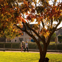 La Coulée verte vous invite à longer la rivière La Bourbince, au cœur de Paray
Depuis le parc du Moulin Liron, la Coulée verte est une promenade idéale pour découvrir Paray-le-Monial à l’automne.
Alors, on part se balader ?
#lautomnecestlabourgogne