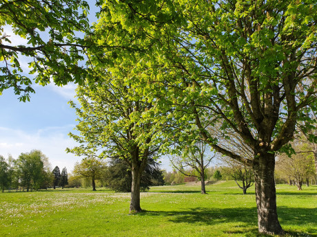 20190501 moulinlironarbres gballot