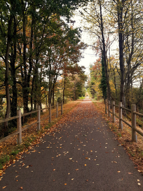 20250822 voie verte st yan automne lbrivet 2