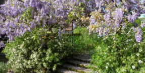 Jardin du Phénix à Varenne l'Arconce