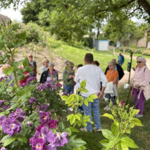 Laissez-vous guider par Tristan lors d’une visite exceptionnelle du jardin de roses aux mille couleurs et parfums 

Plus de 75 variétés de roses à admirer : anciennes, modernes, lianes, grimpantes ou buissons… un véritable voyage floral ! 

 Mercredi 27 mai à 14h
Inscription au 03 85 81 10 92
 Gratuit