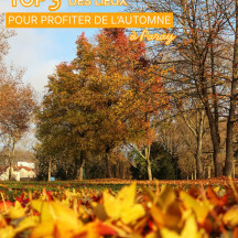 3 spots qui nous font craquer pour Paray en automne 

#lautomnecestlabourgogne