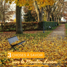 Vous connaissez peut-être déjà le Parc du Moulin Liron… mais saviez-vous qu’il s’étend sur environ 15 hectares et compte près de 850 arbres et conifères !
Et vous, quel est votre endroit préféré pour vous balader à Paray en automne ?