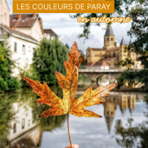 Paray, c’est aussi une palette de couleurs et de lumières qui font tout son charme.
Du doré de la pierre au cuivré des feuillages...voici le nuancier de l’automne !
Quelle est votre couleur préférée ?