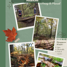 Envie d’une balade en famille aux couleurs de l’automne ?
Direction le Bois des Aisances à Paray-le-Monial pour profiter des sentiers forestiers et partir à la découverte des champignons !
Accès par la route de Versaugues, à Paray-le-Monial.
Restez sur les sentiers, respectez la nature et ne consommez jamais un champignon sans identification certaine !