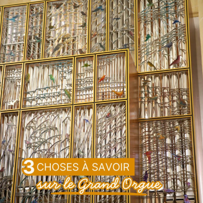 Voici trois choses à savoir sur le Grand Orgue de la Basilique. 

Pour l’écouter, vous pouvez assister aux concerts 2026 : 

 Concert trompette et orgue 
Samedi 3 octobre à 20h
Basilique 
 Tarifs : adulte 22, -18 ans 12

 Concert de Noël Orgue et chorale CHUchotis
 Dimanche 6 décembre à 17h
Basilique 
 Tarifs : adulte 25, -18 ans 15

Renseignements au 03 85 81 10 92
Réservations sur le site internet de l’office de tourisme