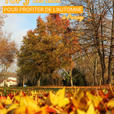 3 spots qui nous font craquer pour Paray en automne
#lautomnecestlabourgogne