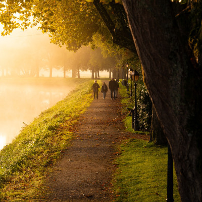 Et si l’automne était la plus belle saison pour (re)découvrir Paray ?

Les arbres se parent de nouvelles couleurs, les balades prennent une autre allure et Paray se laisse admirer autrement… 

 L.Brivet
