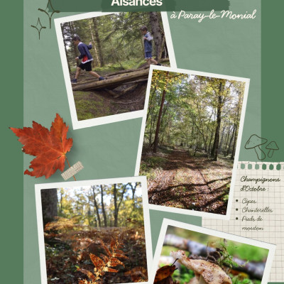 Envie d’une balade en famille aux couleurs de l’automne ?
Direction le Bois des Aisances à Paray-le-Monial pour profiter des sentiers forestiers et partir à la découverte des champignons !
Accès par la route de Versaugues, à Paray-le-Monial.
Restez sur les sentiers, respectez la nature et ne consommez jamais un champignon sans identification certaine !