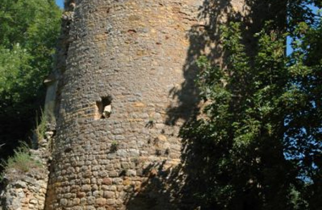 Chateau du Moulin l'Arconce