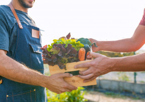 Marché de producteurs - Le Court-circuit