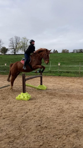 Perfectionnement obstacle - Moulin de Vaux