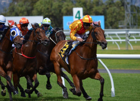Courses hippiques - Hippodrome
