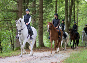 Balade à cheval - Moulin de Vaux