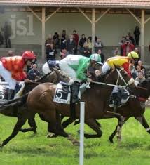 Courses hippiques - Hippodrome
