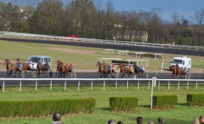 Courses hippiques - Hippodrome