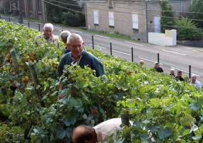 Fête de la vigne des Papillons Blancs d'entre Saône et Loire - CAP