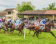 Courses hippiques - Hippodrome