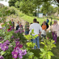Visite du Jardin Saint Hugues