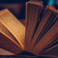 Salon du livre