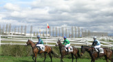 Courses hippiques - Hippodrome