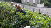 Fête de la vigne des Papillons Blancs d'entre Saône et Loire - CAP