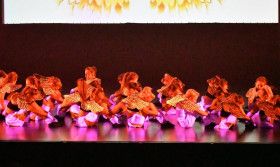 Gala de danse - Théâtre Sauvageot