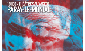 Spectacle - Théâtre Sauvageot