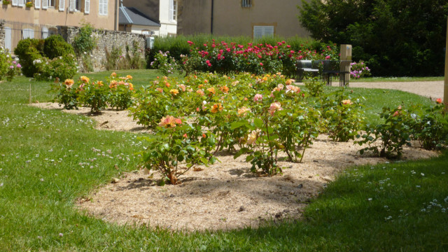 Vue Jardin Saint-Hugues 3